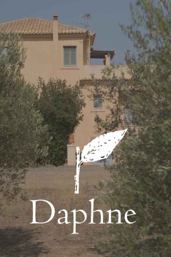 הוילה ארמיוני Daphne מראה חיצוני תמונה